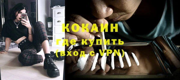 гидра Белокуриха