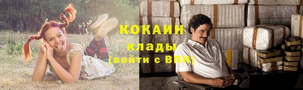 дурь Белоозёрский