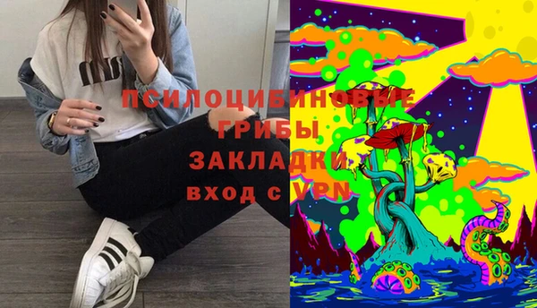 прущие грибы Беломорск