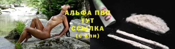 прущие грибы Беломорск