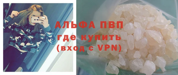 прущие грибы Беломорск