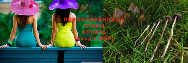 гидра Белокуриха