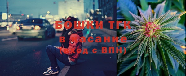 прущие грибы Беломорск
