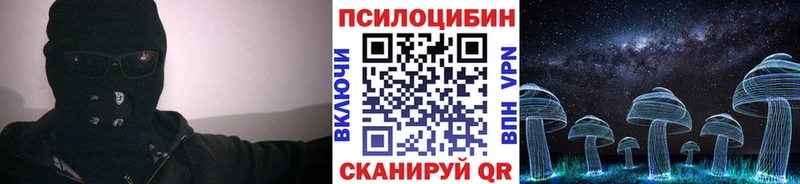 Псилоцибиновые грибы Psilocybe  Онега 