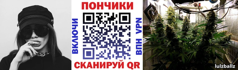 как найти наркотики  Онега  Бошки Шишки OG Kush 